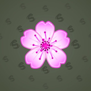 Sakura Flower #70791