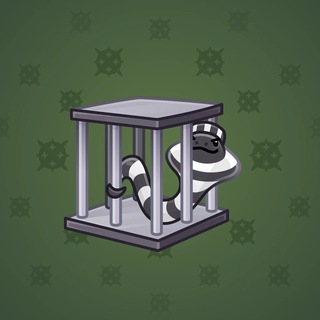 Snake Box #174728