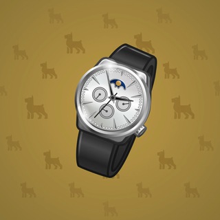 Swiss Watch #6950