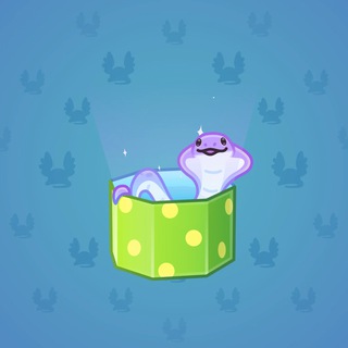 Snake Box #49005
