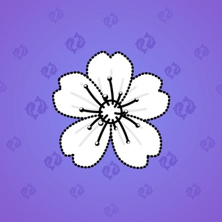 Sakura Flower #70746