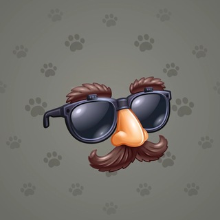Durov’s Glasses #740