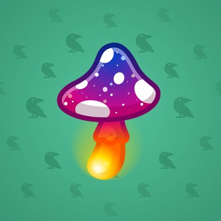 Spy Agaric #59504