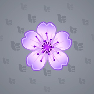 Sakura Flower #55453