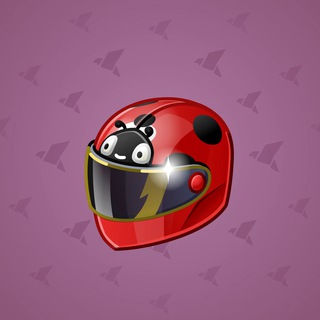Neko Helmet #6553
