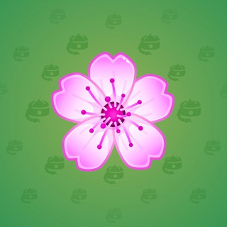 Sakura Flower #70672