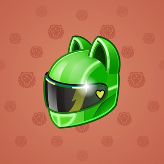 Neko Helmet #13504