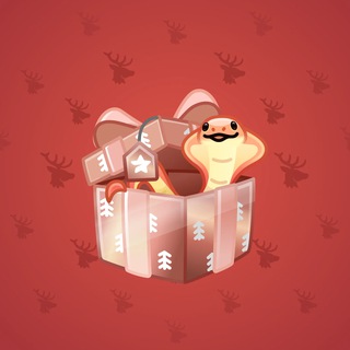 Snake Box #148510