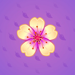 Sakura Flower #25282