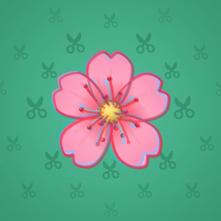 Sakura Flower #84843