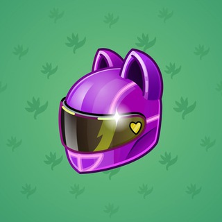 Neko Helmet #12299