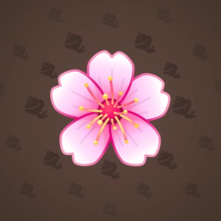 Sakura Flower #84737