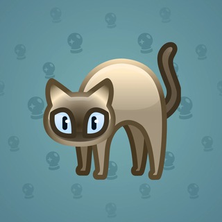 Scared Cat #16663