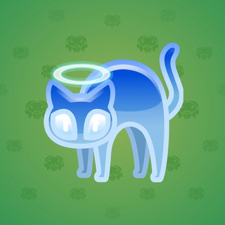 Scared Cat #11417