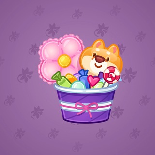 Joyful Bundle #77377