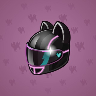 Neko Helmet #1761