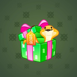 Snake Box #15894