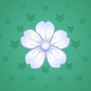 Sakura Flower #18617