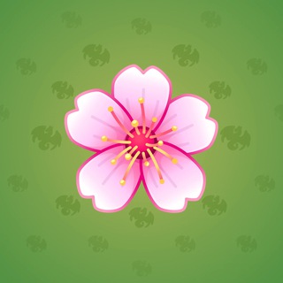 Sakura Flower #25926