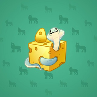 Snake Box #172567
