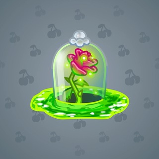 Eternal Rose #17730