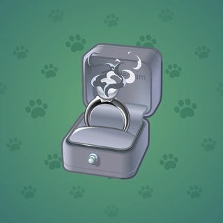 Diamond Ring #21470