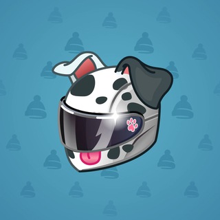 Neko Helmet #1015