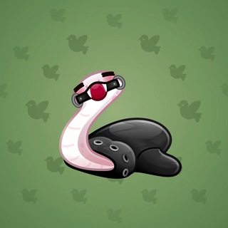 Pet Snake #18713
