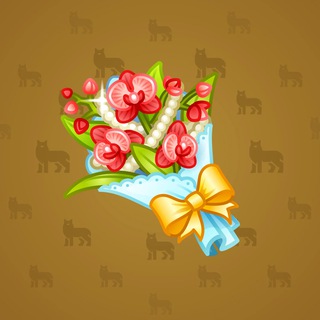 Orchids