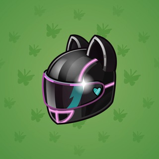 Neko Helmet #4825