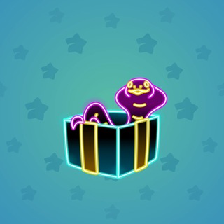 Snake Box #159293