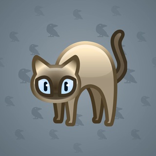 Scared Cat #370