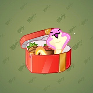 Snake Box #31173