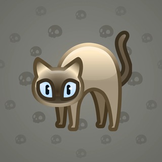 Scared Cat #14423