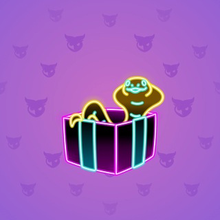 Snake Box #100038