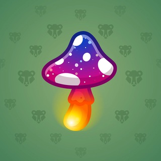 Spy Agaric #5263