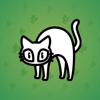 Scared Cat #9597