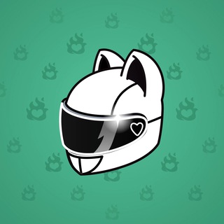 Neko Helmet #11456