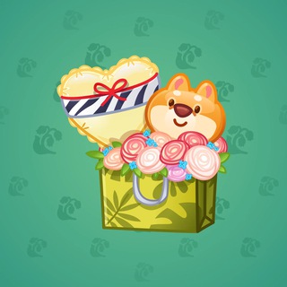 Joyful Bundle #13700