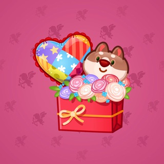 Joyful Bundle #80277
