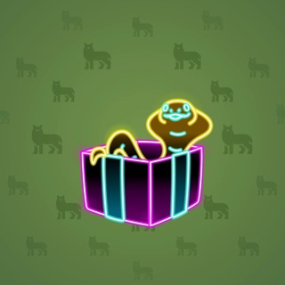 Snake Box #114779