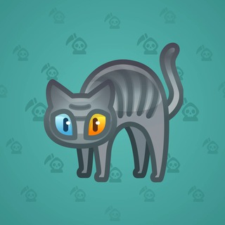 Scared Cat #17801