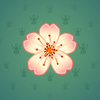 Sakura Flower #35141