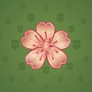 Sakura Flower #24483