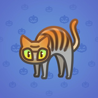 Scared Cat #14884