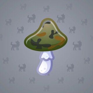 Spy Agaric #79978