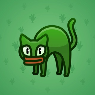 Scared Cat #895