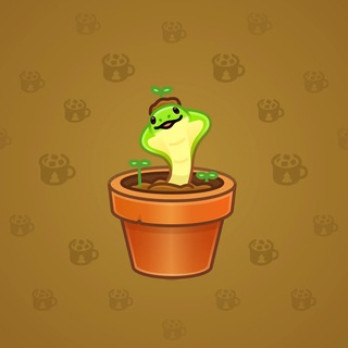 Snake Box #142418