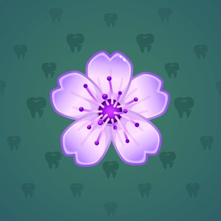 Sakura Flower #68166