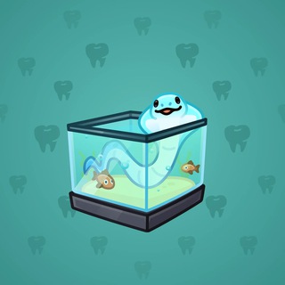 Snake Box #113647